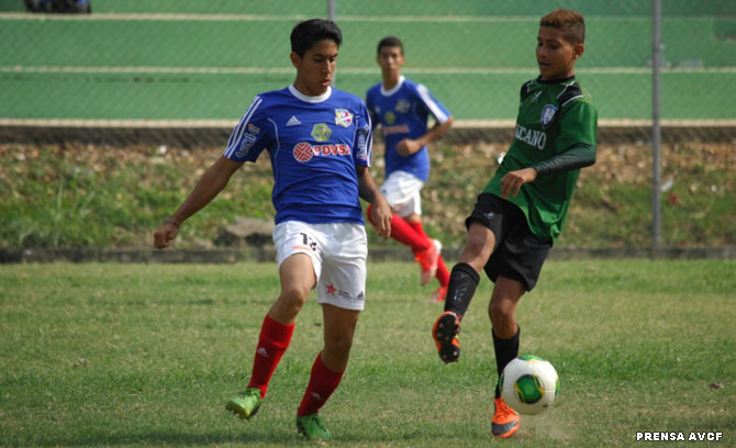 torrealba sub16