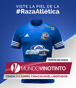 Camiseta 2017